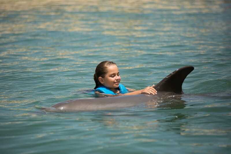 Punta Cancun: Swim with dolphins Interax - FAQ