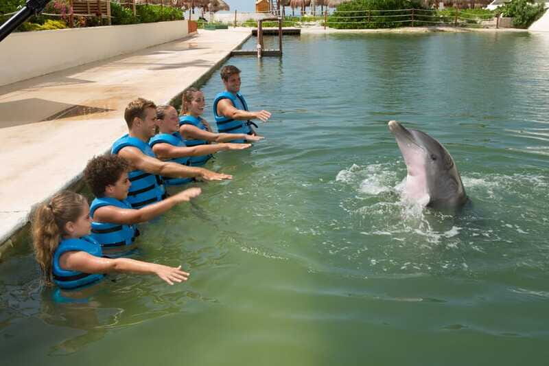 Punta Cancun: Swim with dolphins Primax - Final Word