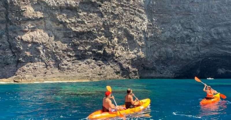 Punta de Teno: Kayak Safari overlooking Los Gigantes Cliffs - A Deep Dive into the Kayak Safari Experience in Punta de Teno