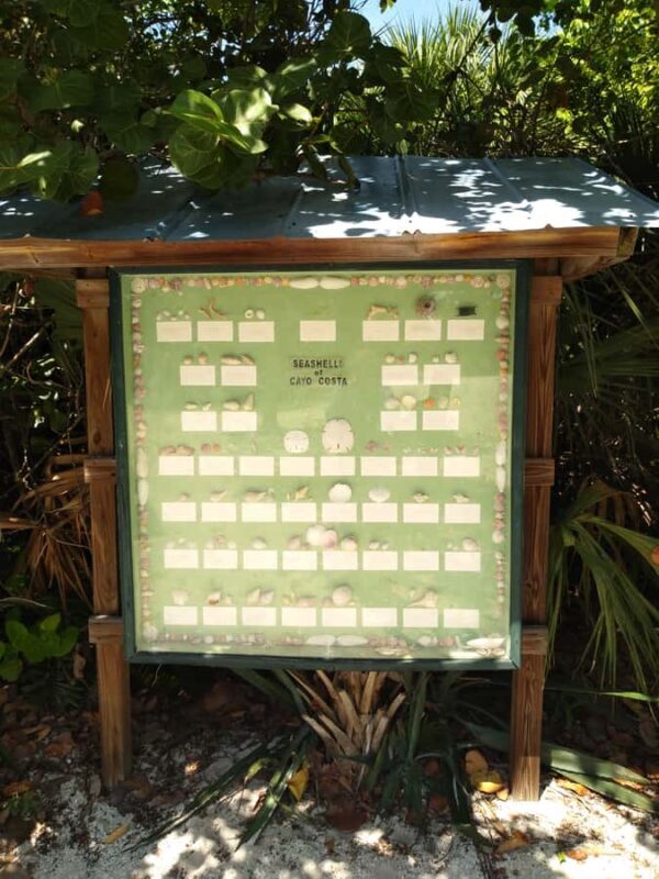 Punta Gorda /Boca Grande: Barrier Island Shelling Boat Tour - Exploring Florida’s Barrier Islands with Saltwater Dreaming Charters