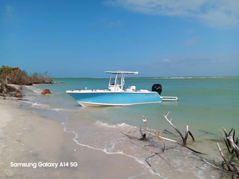 Punta Gorda/Boca Grande: Sandbar Cruise with Captain - A detailed look at what this tour offers