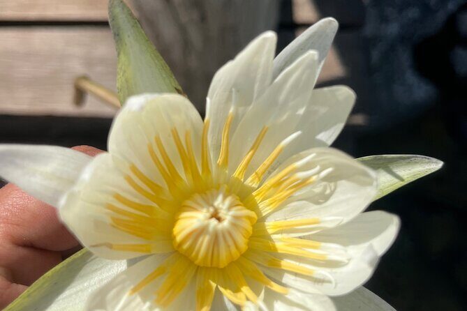 Punta Laguna Adventure with Mayan Ceremony - FAQ