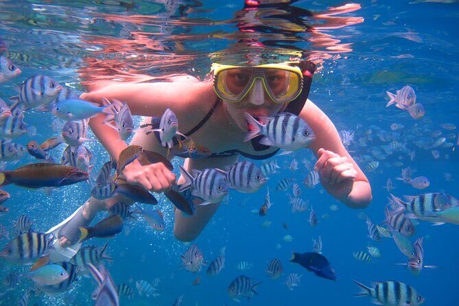 Punta Leona Beach Day - The Sum Up: Who Should Consider This Tour?