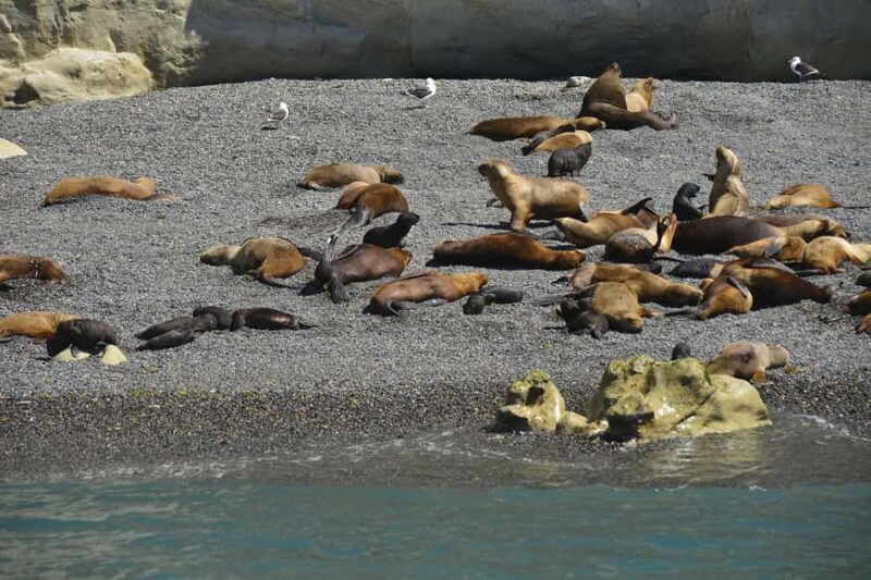 Punta Loma Shore Excursion with City tour - Key Points