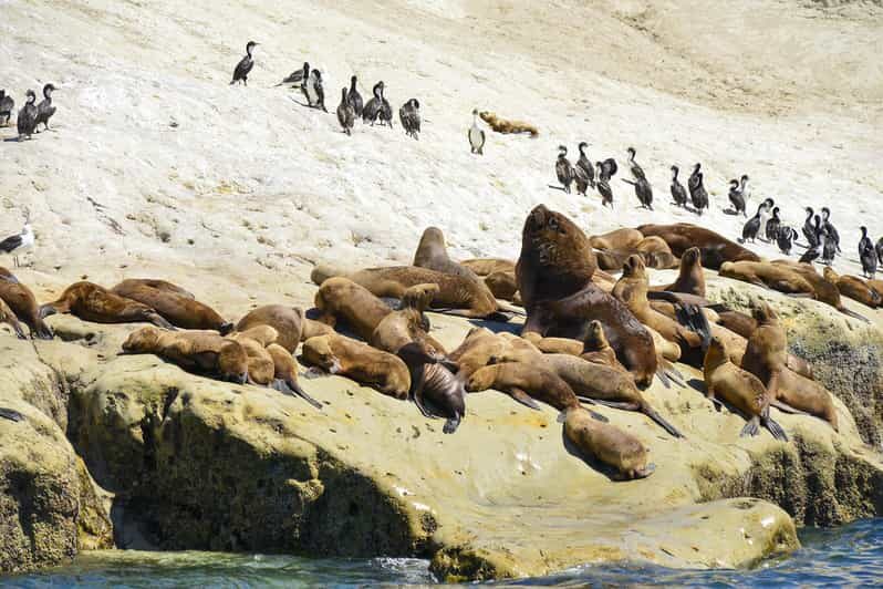 Punta Loma Shore Excursion with City tour - FAQ