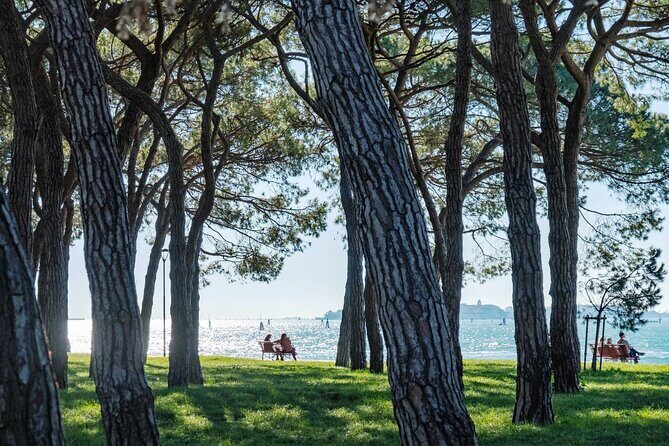 Punta Sabbioni to Venice Round-Trip Boat Ticket - Who Should Consider This Tour?