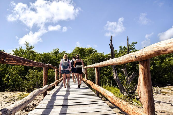 Punta Sur Eco Beach Park Electric Bike Tour in Cozumel - A Deep Dive into the Punta Sur Eco Beach Park Electric Bike Tour