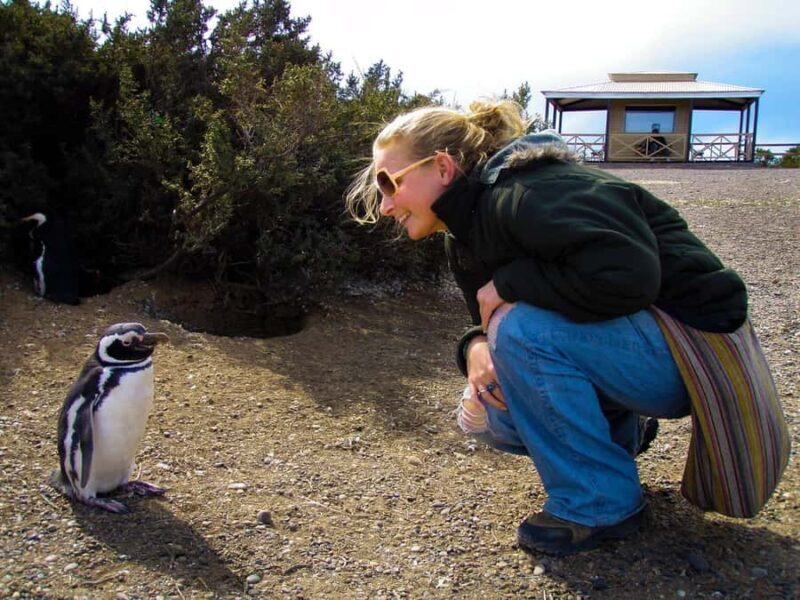 Punta Tombo for cruise-ship passengers - Frequently Asked Questions (FAQ)