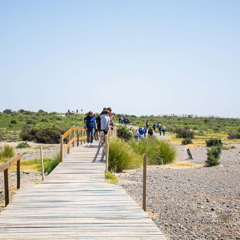 Punta Tombo for cruisers - FAQs