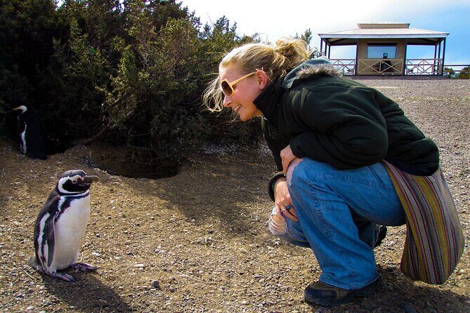 Punta Tombo Full Day Tour, Walking among Penguins - Regular service SIB - Key Points