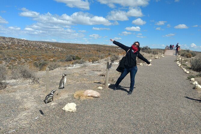 Punta Tombo Full Day Tour, Walking among Penguins - Regular service SIB - A Deep Dive into the Punta Tombo Full Day Tour