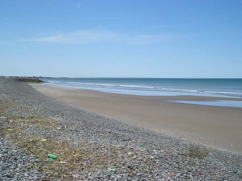 Punta Tombo Penguin Tour & Optional Tonina Watching - FAQ