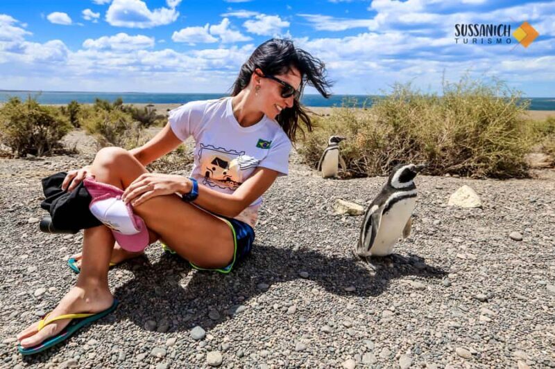 Punta Tombo Shore Excursion for Cruise Passengers Lunch+City - The Sum Up