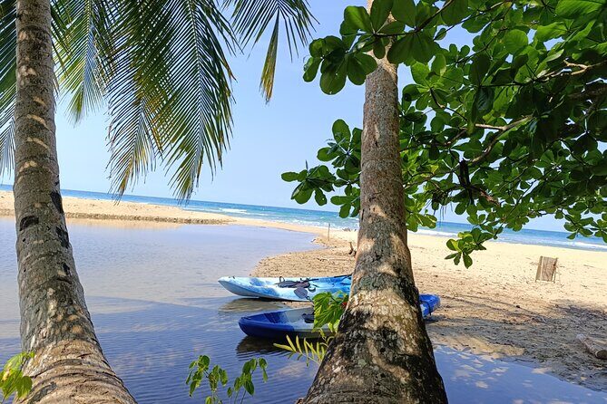 Punta Uva : Private Kayak, Wildlife & Tropical Fruit Experience - Is This Tour Right for You?