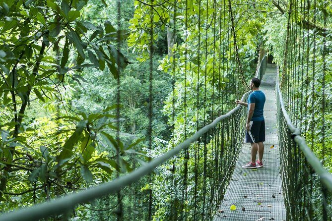 Puntarenas Highlights 6 in 1 Shore Excursion - Key Points