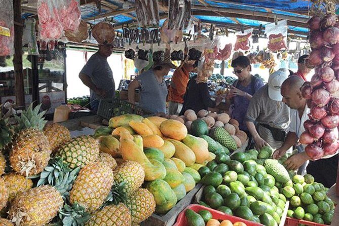 Puntarenas Highlights Shore Excursion - A Deep Look at the Tour Itself