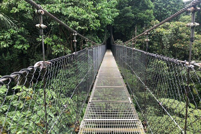 Puntarenas Shore Excursion: Rainforest Hanging Bridges, Skywalk Tour & Boat Tour - Key Points