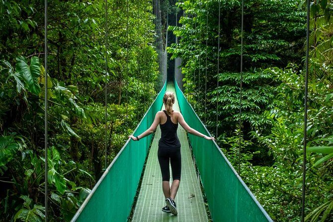 Puntarenas Shore Excursion: Rainforest Hanging Bridges, Skywalk Tour & Boat Tour - A Deep Dive into the Experience