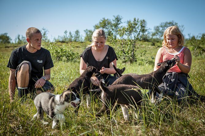 Puppy Training Experience at a Husky Farm in Tromso - Who Is This Tour Perfect For?