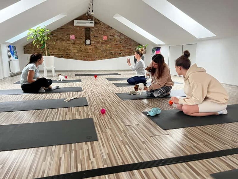 Puppy Yoga in Riga - Final Thoughts: Is Puppy Yoga in Riga Worth It?