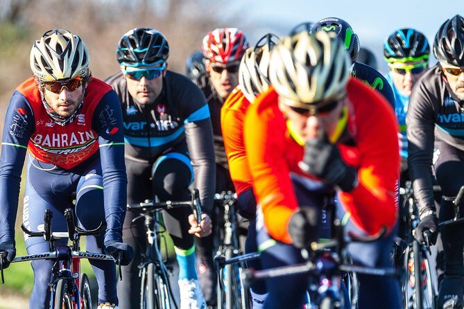 Pure Cycling Experience - Road Bike - Key Points