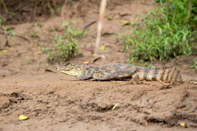 Pure Nature Safari River Float - Practical Details: What You Need to Know