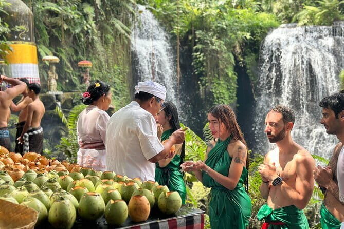 Purification Ceremony, Kehen Temple and Goa Raja Waterfall Tour - Who Should Consider This Tour?