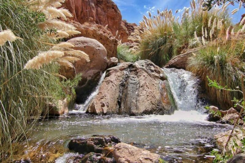 Purilibre Trekking - Exploring the Purilibre Trekking Experience