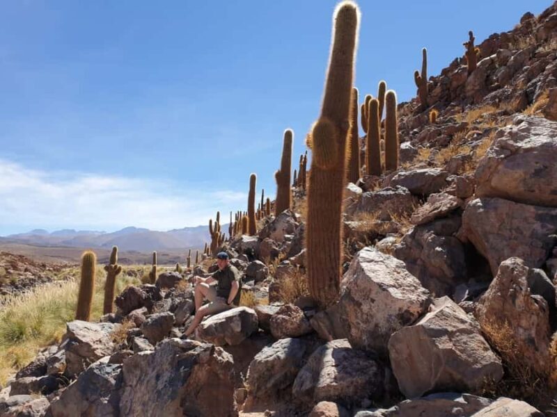 Purilibre Trekking - Key Points