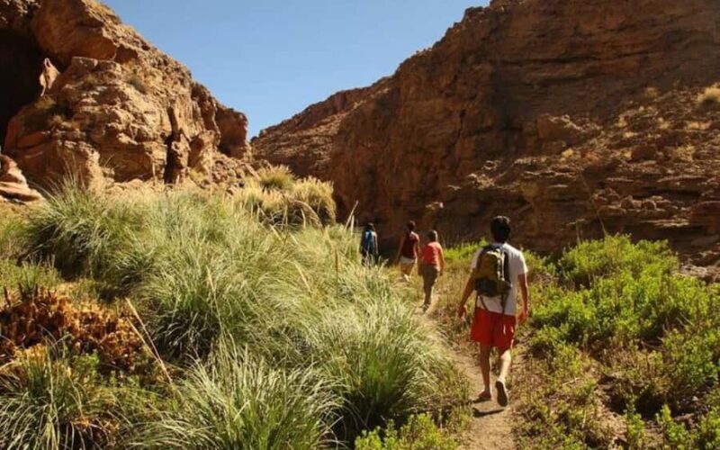Purilibre: Trekking with Ancient Cacti and Medicinal Waters - Practical Tips and Considerations