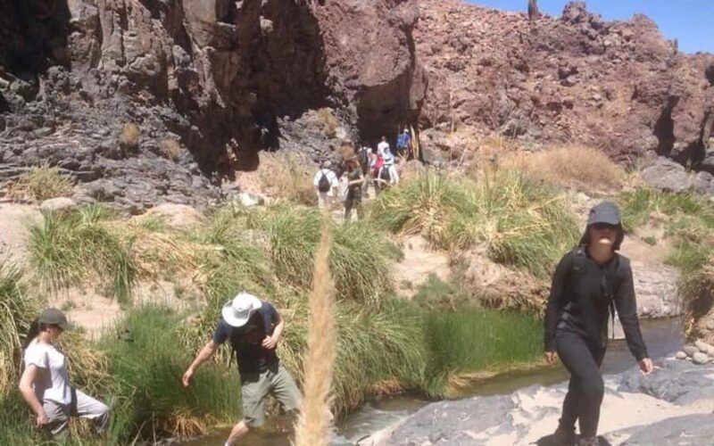 Purilibre: Trekking with Ancient Cacti and Medicinal Waters - FAQ