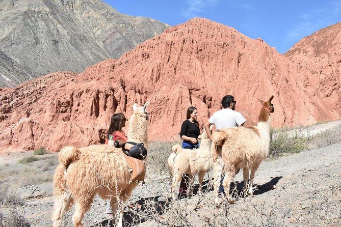 Purmamarca Walk with Llamas - Practical Tips for Your Llama Walk