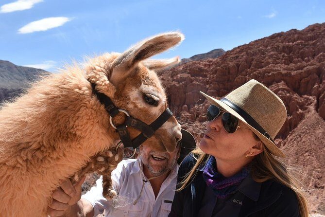 Purmamarca Walk with Llamas - Who is this tour best for?