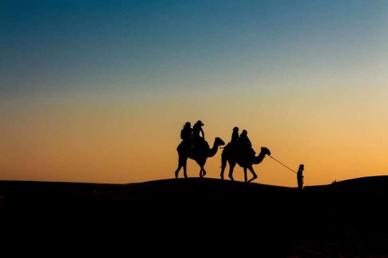 Pushkar: Camel Sunset Safari Adventure - Who Should Consider This Tour?