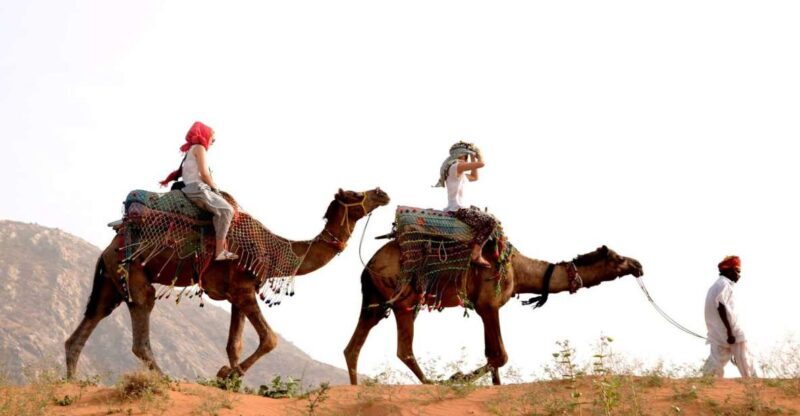 Pushkar Day Trip with Camel Safari From Jaipur By Car. - A Deep Dive Into the Pushkar Day Trip Experience