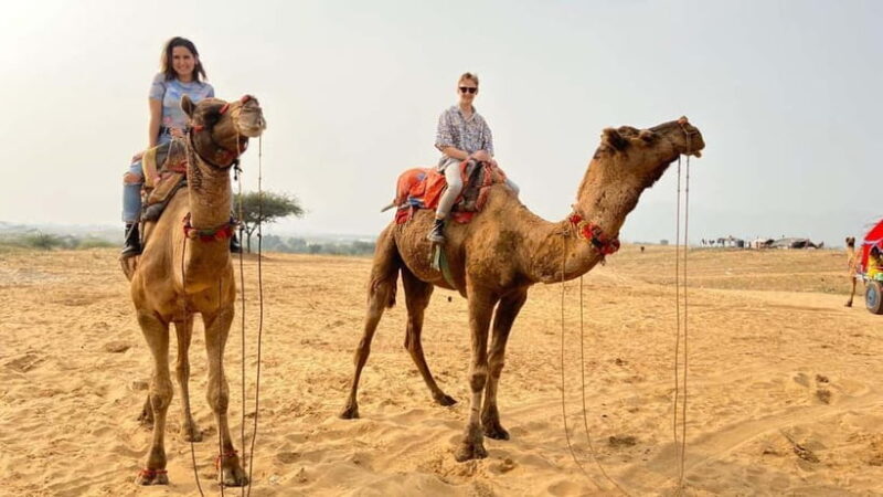 Pushkar Full Day Tour from Jaipur - Key Points