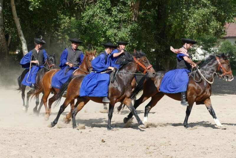 Puszta Tour and Horse Show - A Deep Dive into the Experience