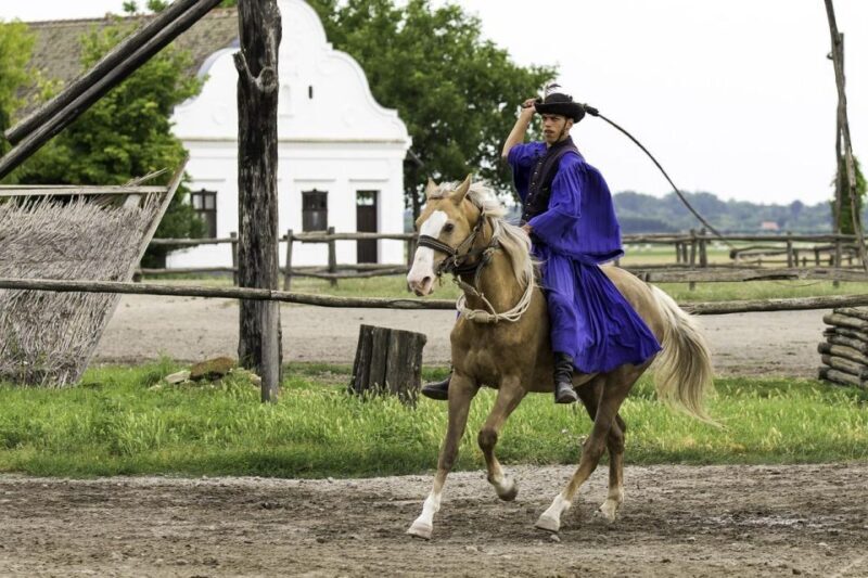 Puszta Tour and Horse Show - Final Thoughts