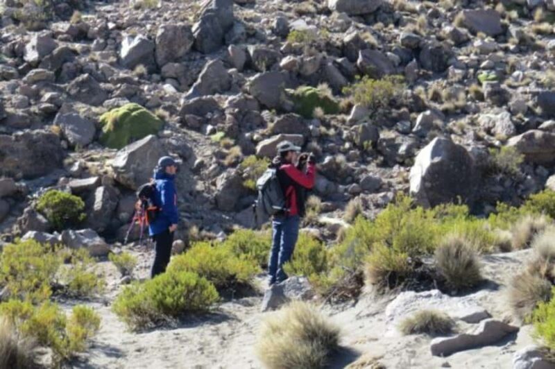 Putre: Trekking Cerro Surunche with Andean Rituals - The value of this adventure