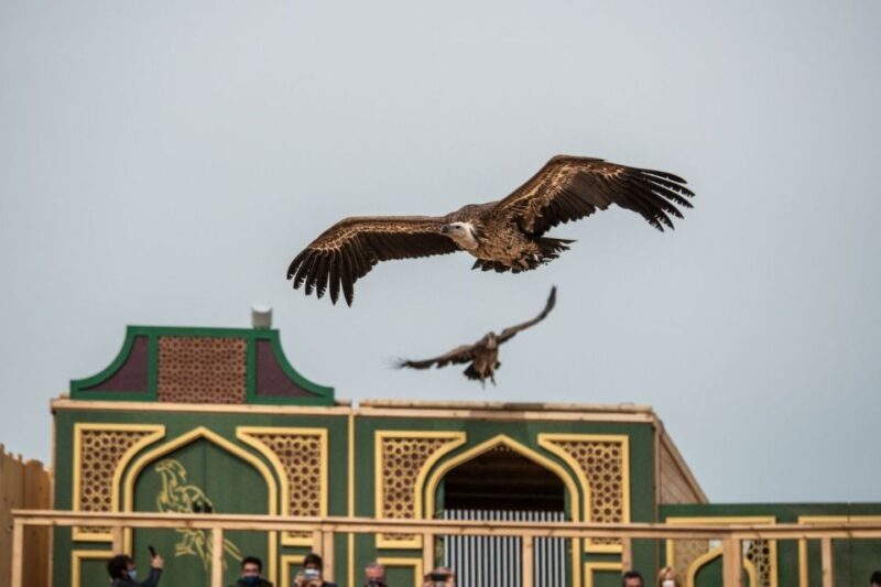 Puy du Fou España Entry Ticket - Final Thoughts