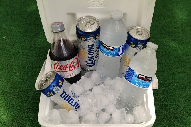 PVR VIP Round Trip Transfers Airport - Bucerias - Airport - Final Thoughts