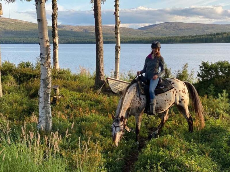 Pyhä: Small Group Horseback Riding Adventure - Key Points