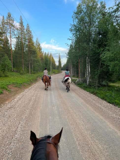 Pyhä: Small Group Horseback Riding Adventure - Exploring the Details of the Horseback Riding Tour