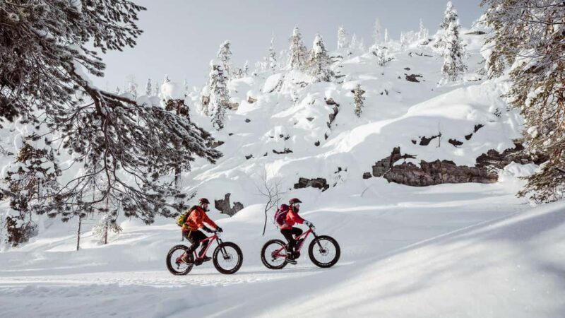 Pyhätunturi: Electric Fatbike Tour in Finnish Lapland - Discover the Arctic with a Fatbike in Pyhä-Luosto National Park