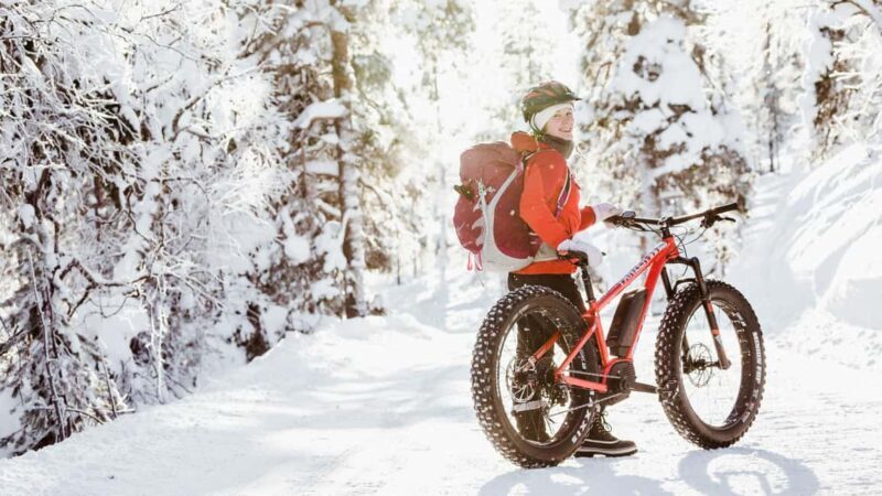 Pyhätunturi: Electric Fatbike Tour in Finnish Lapland - Pricing and Value
