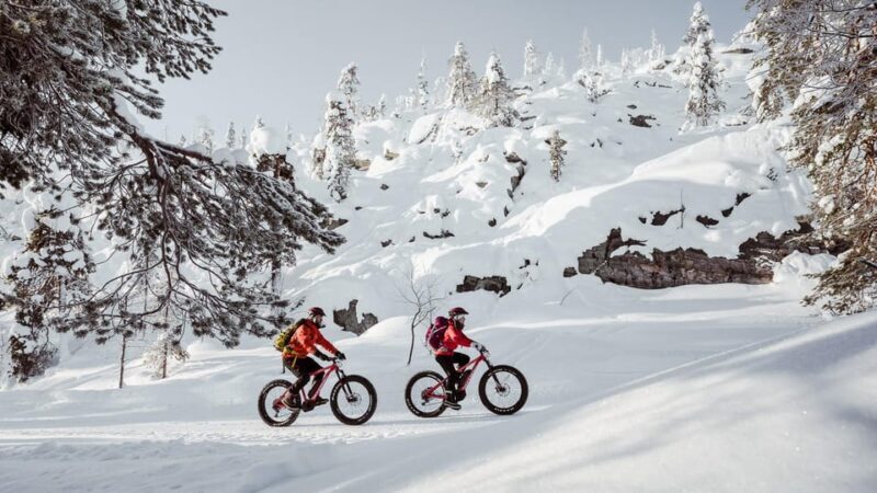 Pyhätunturi: Electric Fatbike Tour in Finnish Lapland - Who Should Consider This Tour?