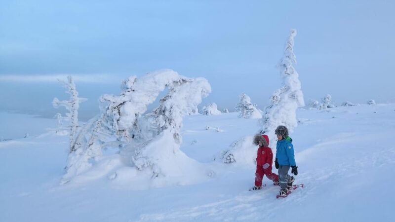 Pyhätunturi: Scenic Snowshoeing Tour in Finnish Lapland - A Balanced View: Pros and Cons