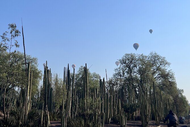 Pyramids + Cave Restaurant + Guadalupe's Basilica Private Tour - Final Thoughts