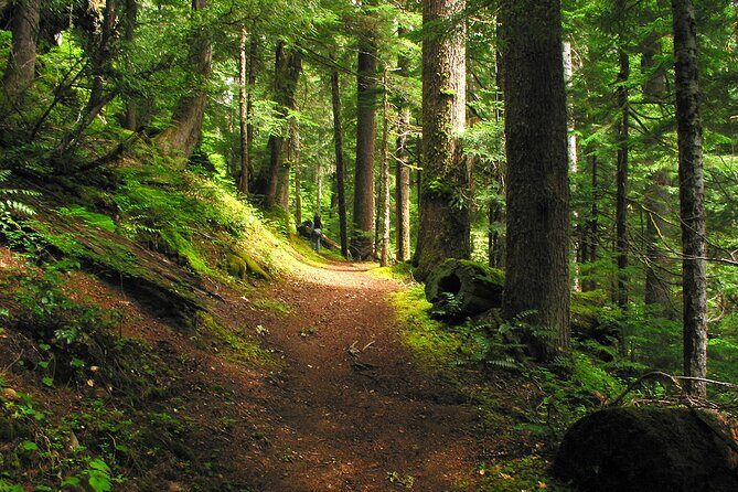 Pyrenees Hiking Experience from Barcelona. Small Group Tour - Key Points