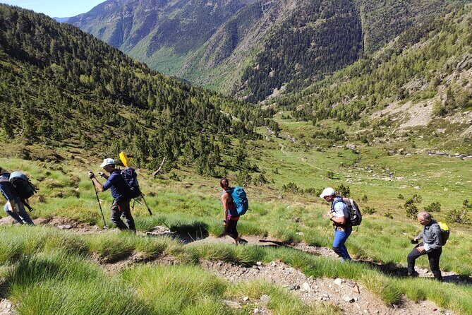 Pyrenees Hiking Experience from Barcelona. Small Group Tour - A Closer Look at the Pyrenees Hiking Experience